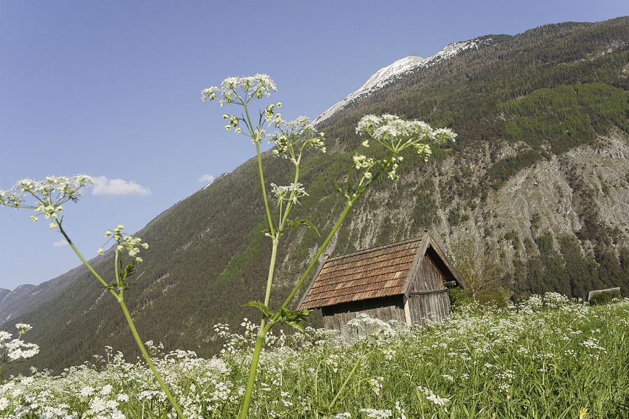 Baugrund gesucht - Stoll Wohnen Bau - Imst - Tirol